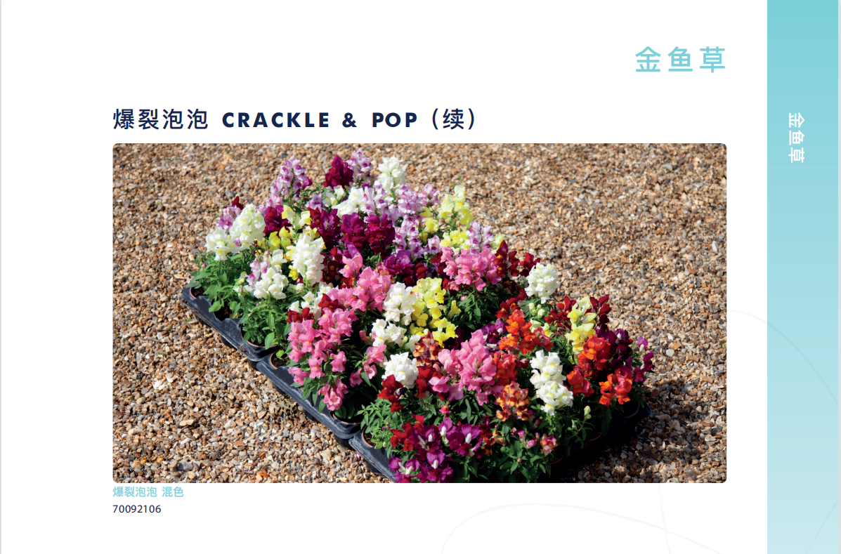 QQ截图20220908094430.png