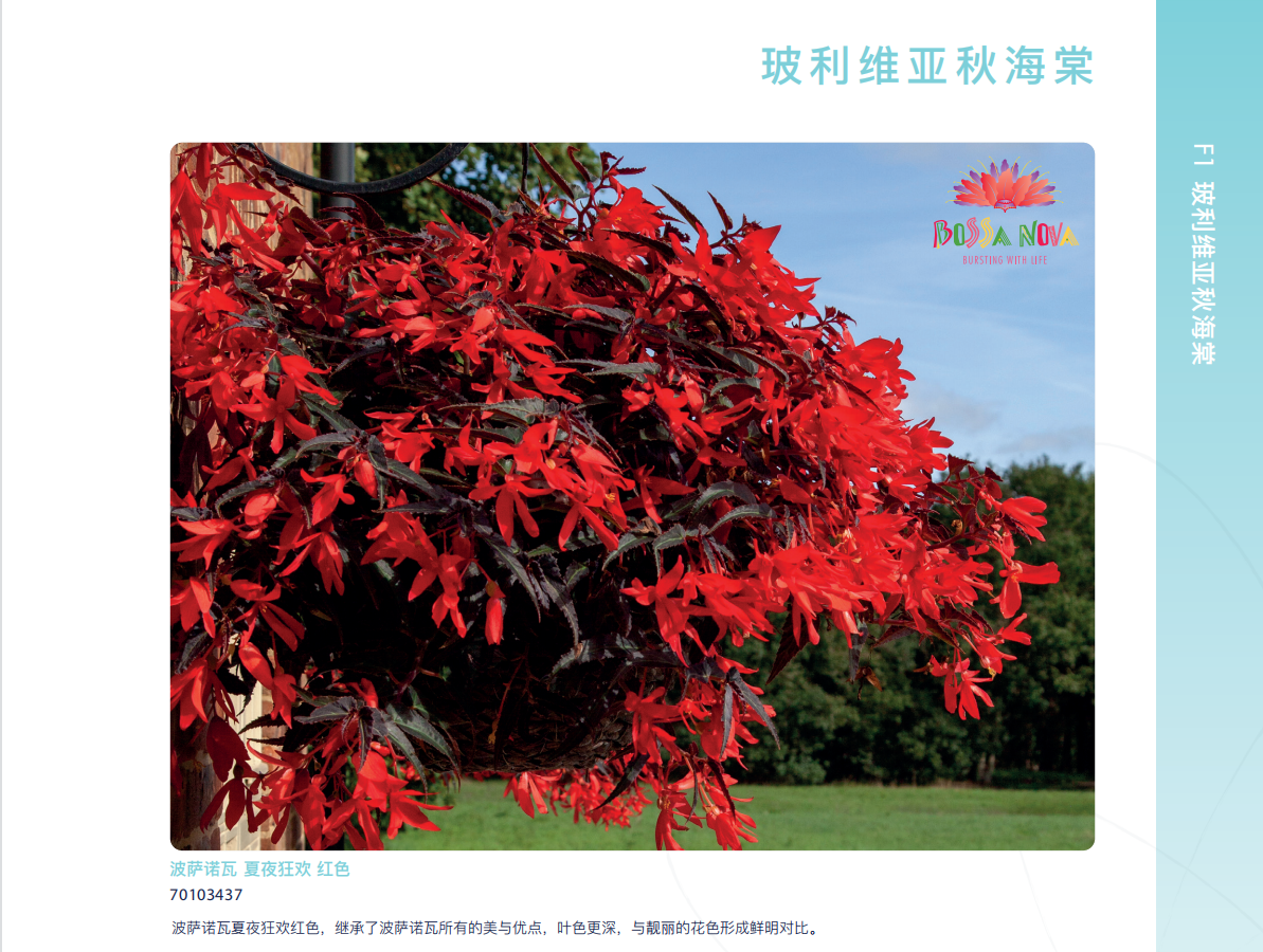 QQ截图20220908094554.png